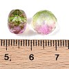 Two-Tone Transparent Acrylic Beads AC-CBAE44E-01A-05-2