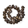 Natural Smoky Quartz Beads Strands G-B072-C01-03-01-2