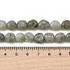 Natural Labradorite Beads Strands G-P623-A03-02-5