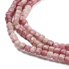 Natural Rhodonite Beads Strands G-H042-B43-01-4