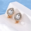 Alloy Silicone Clip-on Earrings EJEW-Z120-02G-02-3
