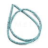 Synthetic Turquoise Beads Strands G-P608-A14-01-3