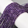Natural Amethyst Beads Strands G-F460-50-A-5
