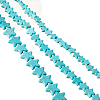 3 Strands 3 Styles Synthetic Turquoise Beads Strands G-AR0004-69A-1