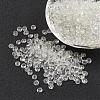 Opaque Glass Seed Beads SEED-R032-A18-1