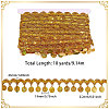 Polyester Metallic Thread Lace Tassel Ribbons OCOR-WH0108-42B-2