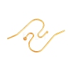 Brass Earring Hooks J0JQN-G-NF-1
