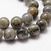 Natural Labradorite Bead Strands G-G735-29-8mm-3