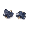 Dyed Natural Lapis Lazuli Pendants KK-D289-61G-06-2