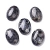 Natural Black Larvikite Cabochons X-G-Z020-10-1