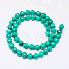 Natural Magnesite Beads Strand TURQ-G096-6mm-2