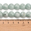 Glass Beads Strands G-L642-B18-12mm-5