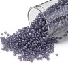 TOHO 11/0 Round Beads SEED-TR11-0166DF-1