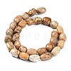 Natural Picture Jasper Beads Strands G-C038-02B-3