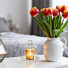 4 Bags Glass Cloche Dome AJEW-BC0011-27-5