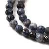Natural Sapphire Beads Strands G-G259-D06-4mm-4