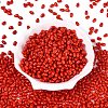 Opaque Glass Beads GLAA-Q113-01A-C01-2