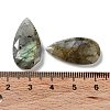 Natural Labradorite Faceted Pendants G-D082-01B-3
