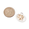 Summer Beach Natural Shell Pendants PALLOY-JF02649-3