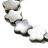 Natural Black Lip Shell Beads Strands SHEL-M021-02A-3
