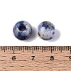 Natural Blue Spot Jasper European Beads G-Q607-02L-3
