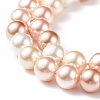 Shell Pearl Bead Strands BSHE-L017-11-3