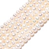Natural Cultured Freshwater Pearl Beads Strands PEAR-N013-02L-2