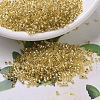 MIYUKI Delica Beads SEED-X0054-DB0042-1
