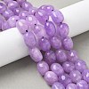 Natural Malaysia Jade Beads Strands G-P528-N14-01-5