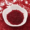 Transparent Colours Glass Seed Beads SEED-S042-11B-10-2
