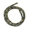 Natural Serpentine/Green Lace Stone Beads Strands G-Z116-A16-3mm-3