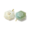 Natural Flower Amazonite Pendants G-P588-02G-10-2