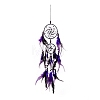 Iron Woven Web/Net with Feather Pendant Decorations LS-AJEW-B016-01-1