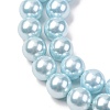 Electroplated Shell Pearl Beads Strands BSHE-G041-10mm-03-3