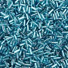 Plated Glass Bugle Beads SEED-S046-01A-23-3