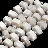 Natural Rainbow Moonstone & Green Opal & Labradorite & Picasso Jasper & Rhodonite & Ocean Jasper & Flower Amazonite & Botswana Agate Beads Strands G-L642-H01-01-3