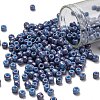 TOHO 6/0 Round Beads SEED-TR06-1204-1