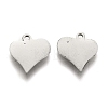 304 Stainless Steel Charms STAS-I151-40P-2