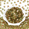 Picasso Transparent Glass Beads SEED-Q039-02O-2