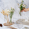 PET Vases LS-AJEW-WH0485-61-3