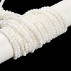 Natural Freshwater Shell Beads Strands BSHE-H109-03A-1