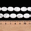 Natural Howlite Beads Strands G-M206-36-5