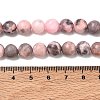 Natural Pink Zebra Jasper Beads Strands G-P231-01-8mm-4