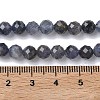 Natural Iolite/Cordierite/Dichroite Beads Strands G-L651-C03-6mm-5