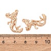 Alloy Pendants FIND-C094-05KCG-3