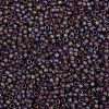 TOHO Round Seed Beads SEED-JPTR08-0166BF-2