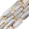 Natural Botswana Agate Beads Strands G-D353-A11-2