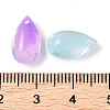 Transparent Glass Charms GLAA-U002-01C-2