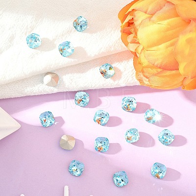 Preciosa® MAXIMA Crystal Fancy Stones X-PRC-FC12-60010-1