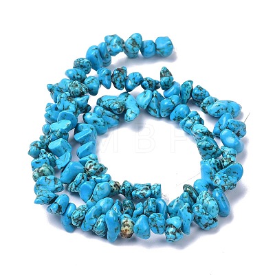 Natural Magnesite Beads Strands TURQ-P001-02A-03-1